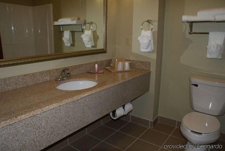Econo Lodge Inn & Suites Little Rock Sw Værelse billede